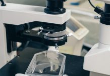 Z „Detektywów” do „Pudełka”